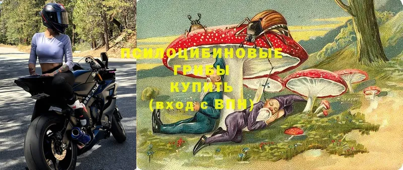 Псилоцибиновые грибы мухоморы Нижнекамск